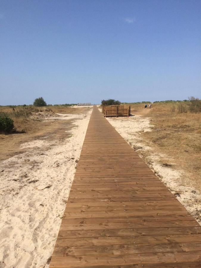 Strandhafer Schillig Buitenkant foto